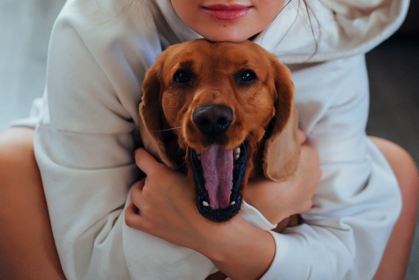 Dueña abrazando a su labrador