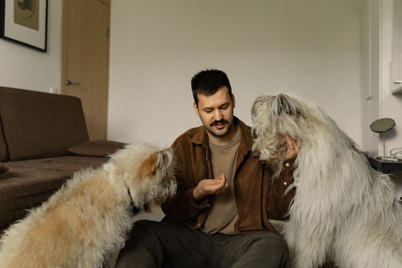 Dueño en casa con sus dos perros